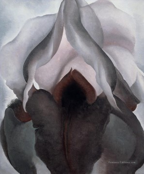 Iris noir Georgia Okeeffe modernisme américain Precisionism Peinture à l'huile